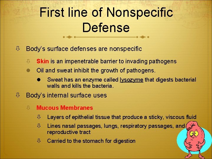 First line of Nonspecific Defense Body’s surface defenses are nonspecific Skin is an impenetrable