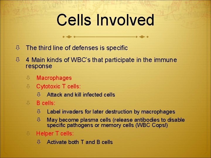 Cells Involved The third line of defenses is specific 4 Main kinds of WBC’s