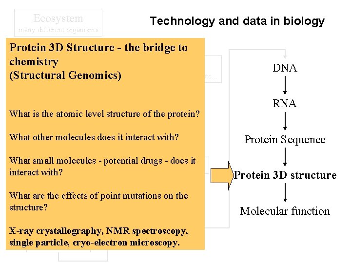 Ecosystem many different organisms Technology and data in biology Protein 3 D Structure -