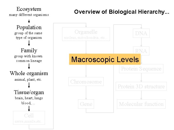 Ecosystem many different organisms Population group of the same type of organism Overview of