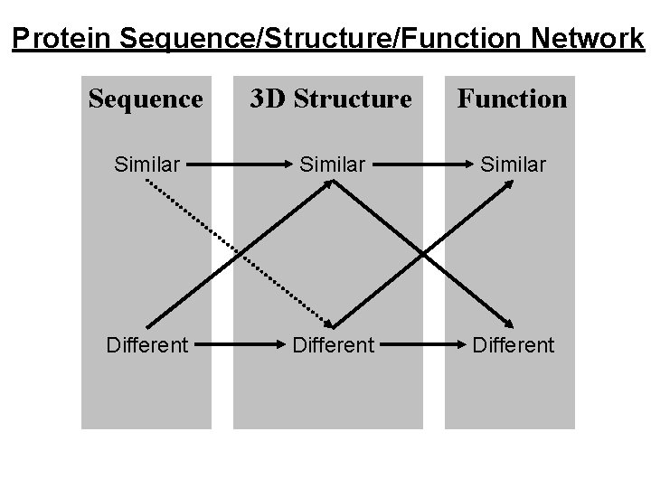 Protein Sequence/Structure/Function Network Sequence 3 D Structure Function Similar Different 