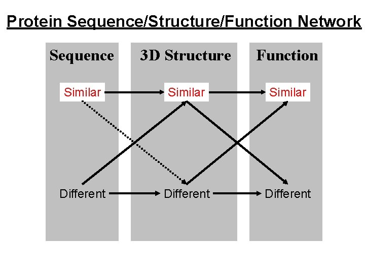 Protein Sequence/Structure/Function Network Sequence 3 D Structure Function Similar Different 