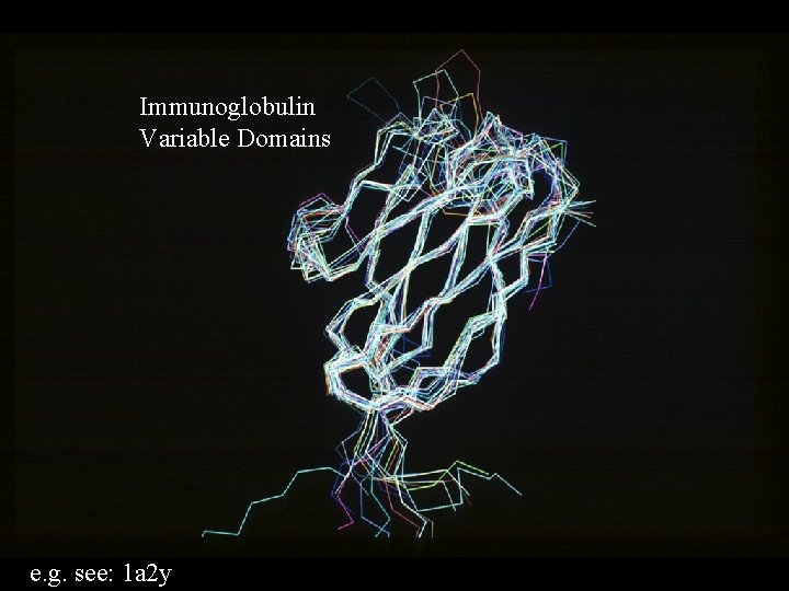 Immunoglobulin Variable Domains e. g. see: 1 a 2 y 