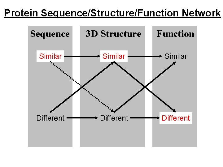 Protein Sequence/Structure/Function Network Sequence 3 D Structure Function Similar Different 