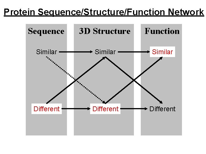 Protein Sequence/Structure/Function Network Sequence 3 D Structure Function Similar Different 