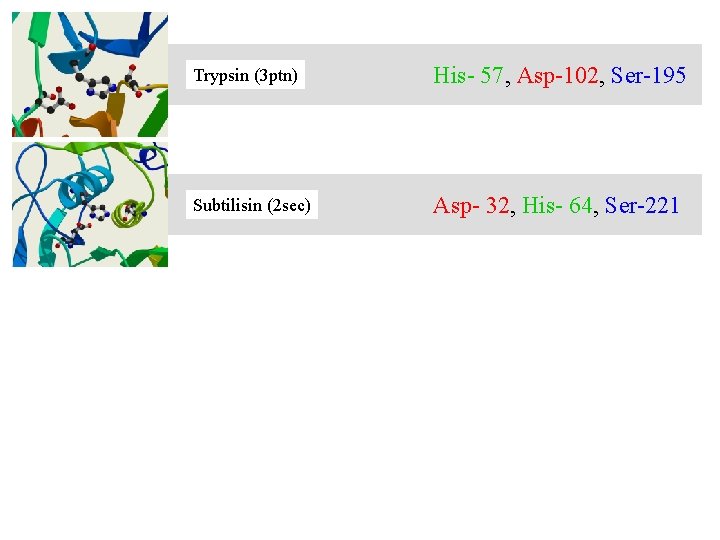 Trypsin (3 ptn) His- 57, Asp-102, Ser-195 Subtilisin (2 sec) Asp- 32, His- 64,