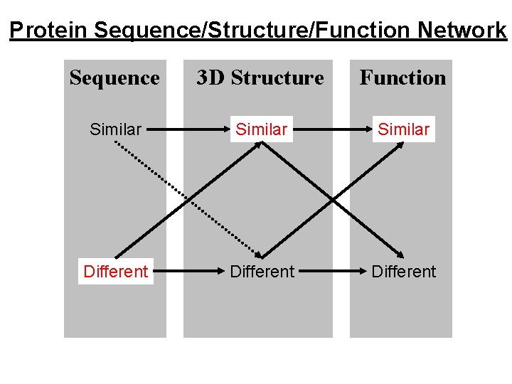 Protein Sequence/Structure/Function Network Sequence 3 D Structure Function Similar Different 