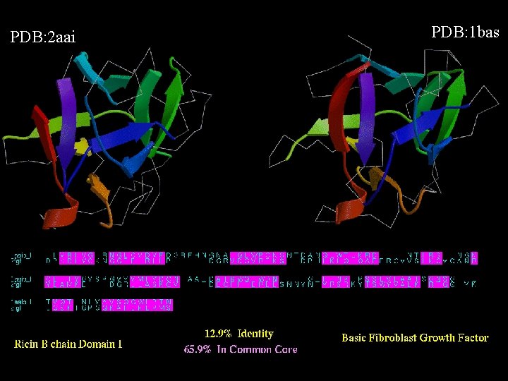 PDB: 2 aai PDB: 1 bas 