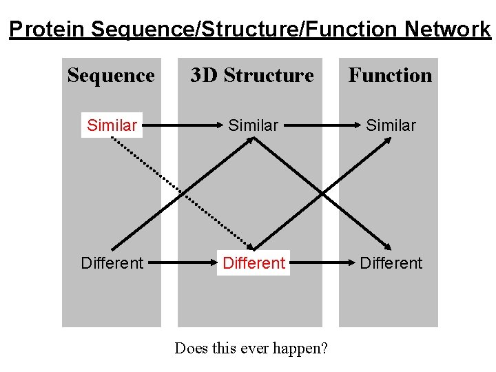 Protein Sequence/Structure/Function Network Sequence 3 D Structure Function Similar Different Does this ever happen?