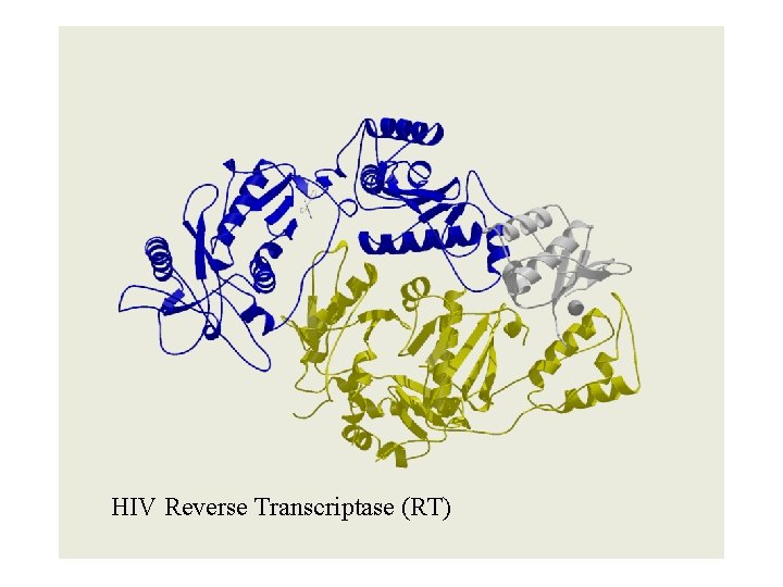 HIV Reverse Transcriptase (RT) 