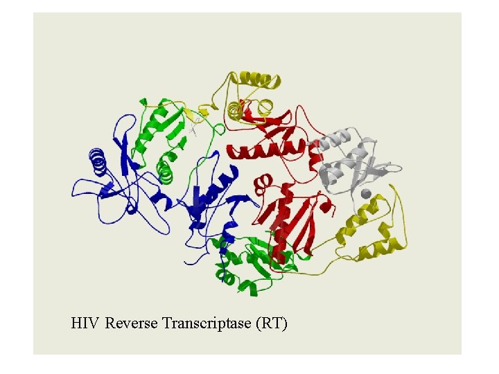 HIV Reverse Transcriptase (RT) 