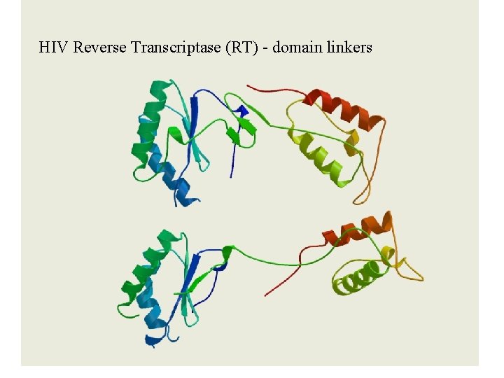 HIV Reverse Transcriptase (RT) - domain linkers 