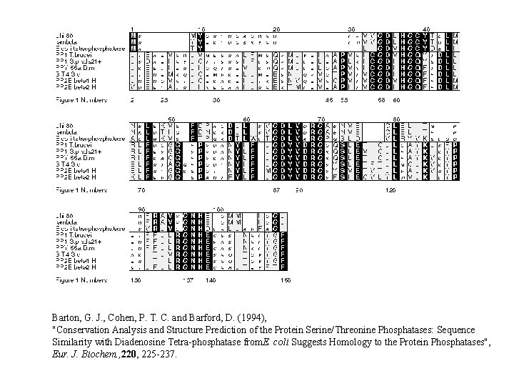 Barton, G. J. , Cohen, P. T. C. and Barford, D. (1994), "Conservation Analysis