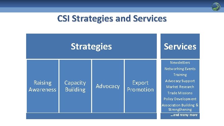 CSI Strategies and Services Strategies Raising Awareness Capacity Building Advocacy Services Export Promotion Newsletters