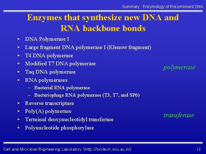 Summary : Enzymology of Recombinant DNA Enzymes that synthesize new DNA and RNA backbone