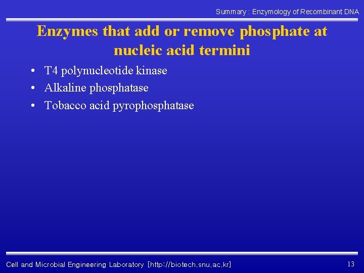 Summary : Enzymology of Recombinant DNA Enzymes that add or remove phosphate at nucleic