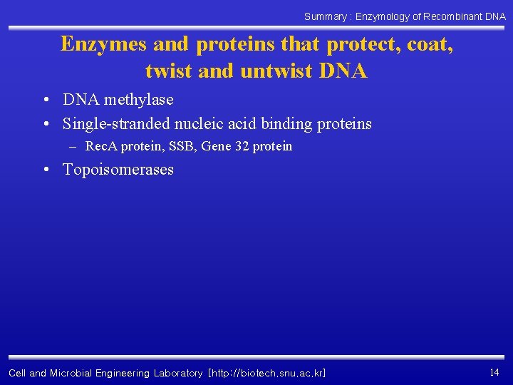 Summary : Enzymology of Recombinant DNA Enzymes and proteins that protect, coat, twist and