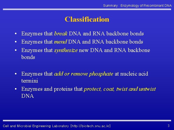 Summary : Enzymology of Recombinant DNA Classification • Enzymes that break DNA and RNA