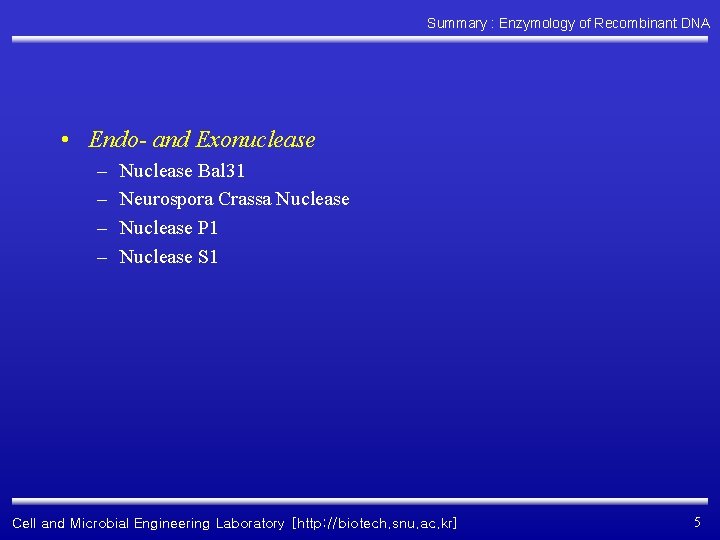 Summary : Enzymology of Recombinant DNA • Endo- and Exonuclease – – Nuclease Bal