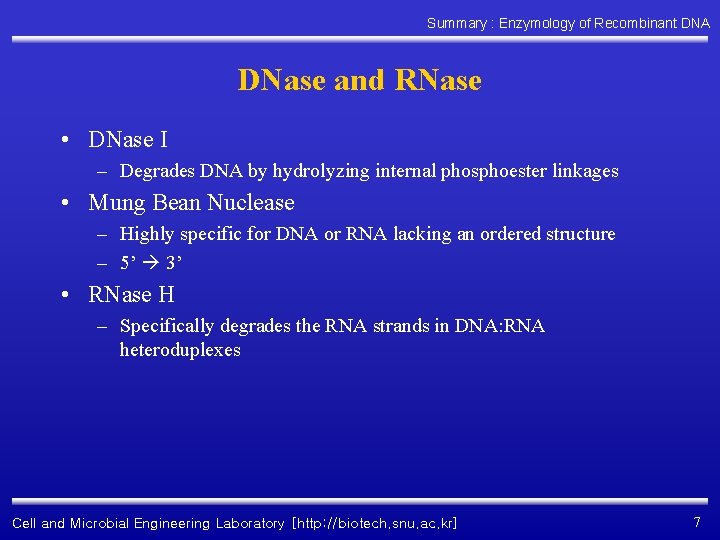 Summary : Enzymology of Recombinant DNA DNase and RNase • DNase I – Degrades