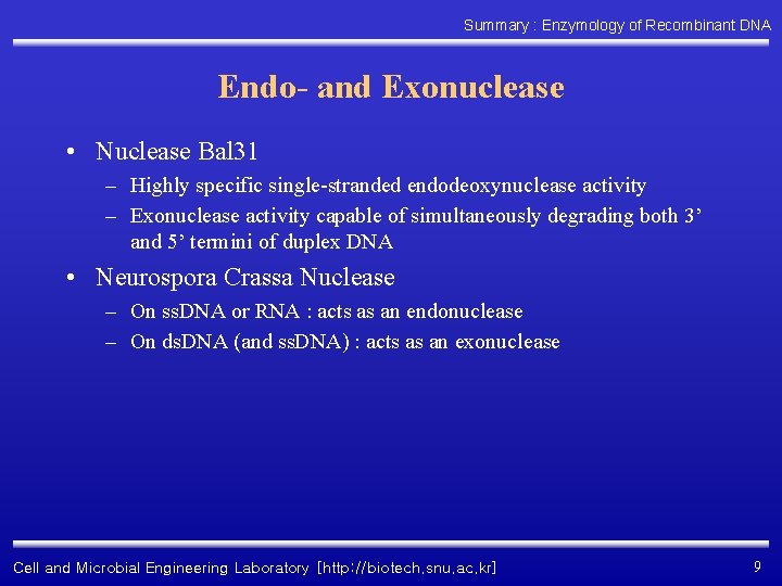Summary : Enzymology of Recombinant DNA Endo- and Exonuclease • Nuclease Bal 31 –