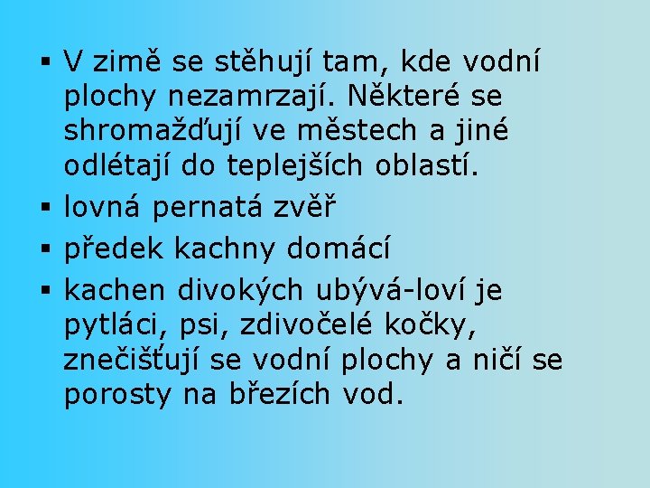 § V zimě se stěhují tam, kde vodní plochy nezamrzají. Některé se shromažďují ve