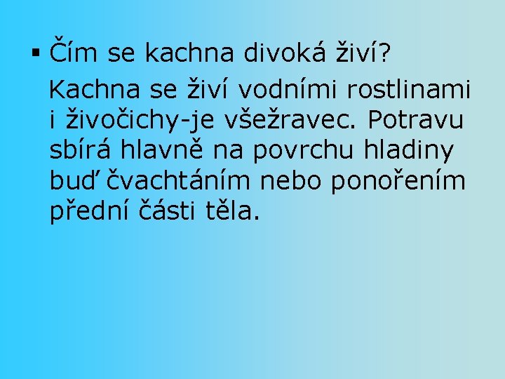 § Čím se kachna divoká živí? Kachna se živí vodními rostlinami i živočichy-je všežravec.