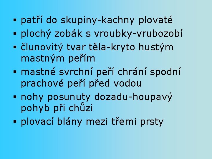 § patří do skupiny-kachny plovaté § plochý zobák s vroubky-vrubozobí § člunovitý tvar těla-kryto