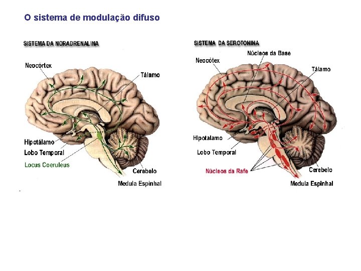 O sistema de modulação difuso 