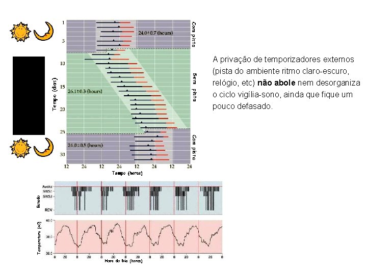 A privação de temporizadores externos (pista do ambiente ritmo claro-escuro, relógio, etc) não abole