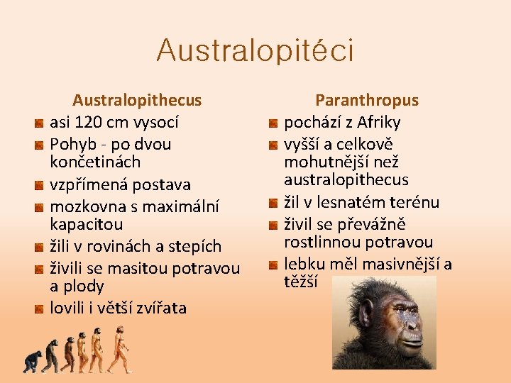 Australopitéci Australopithecus asi 120 cm vysocí Pohyb - po dvou končetinách vzpřímená postava mozkovna