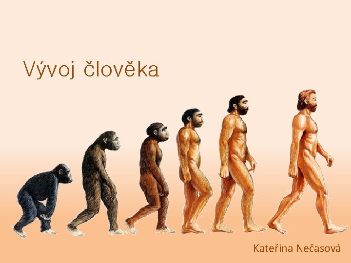 Vývoj člověka Kateřina Nečasová 