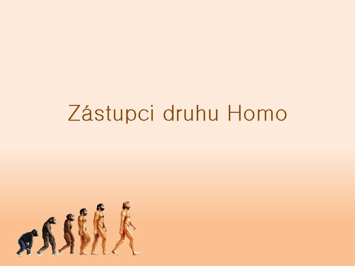 Zástupci druhu Homo 