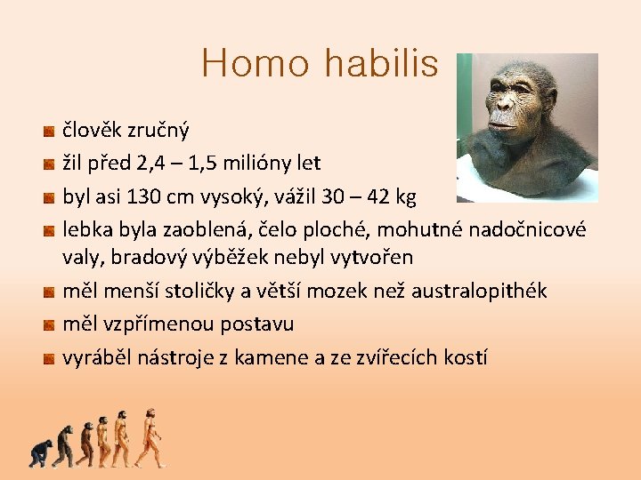 Homo habilis člověk zručný žil před 2, 4 – 1, 5 milióny let byl