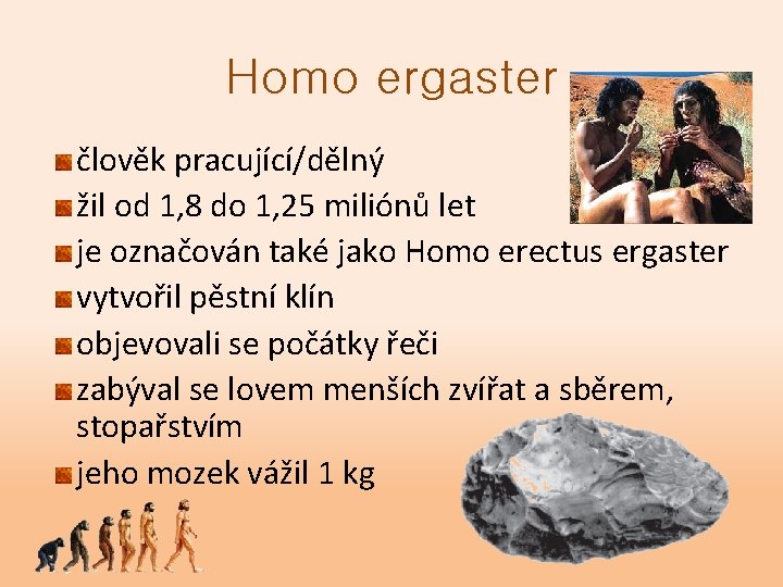 Homo ergaster člověk pracující/dělný žil od 1, 8 do 1, 25 miliónů let je