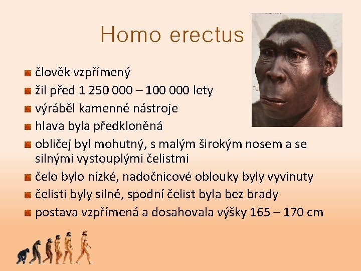 Homo erectus člověk vzpřímený žil před 1 250 000 – 100 000 lety výráběl