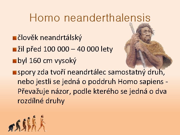 Homo neanderthalensis člověk neandrtálský žil před 100 000 – 40 000 lety byl 160