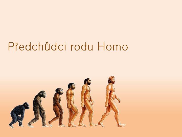 Předchůdci rodu Homo 