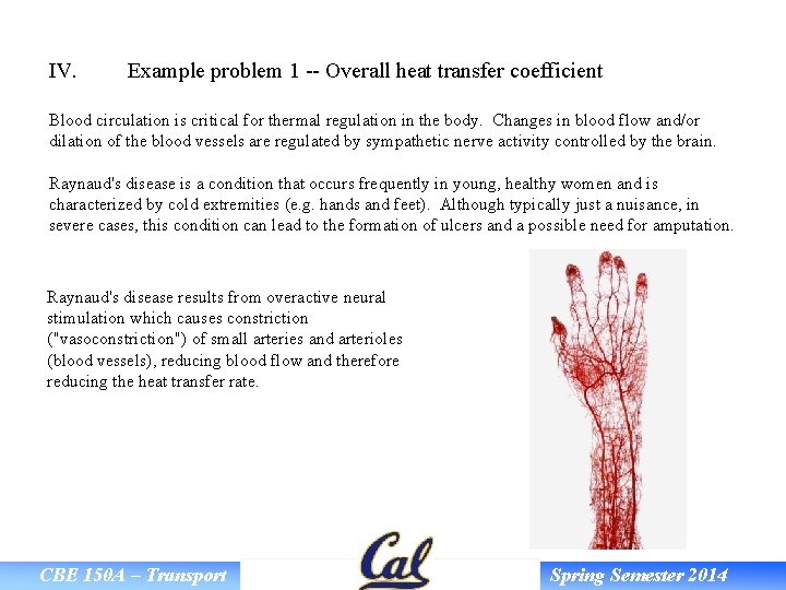 IV. Example problem 1 -- Overall heat transfer coefficient Blood circulation is critical for