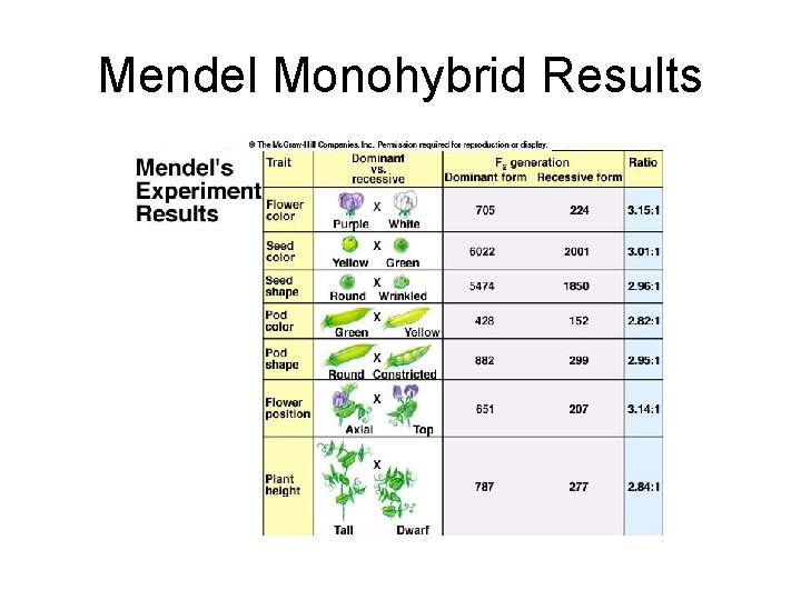 Mendel Monohybrid Results 