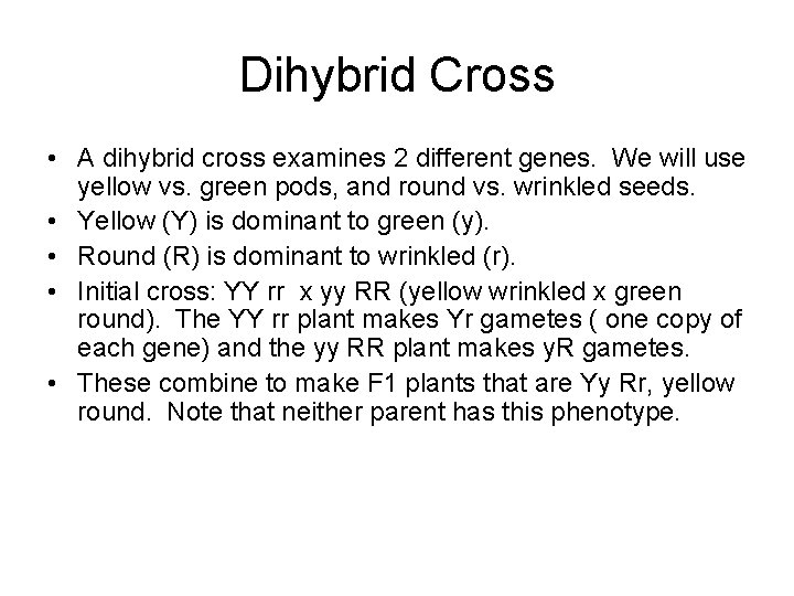 Dihybrid Cross • A dihybrid cross examines 2 different genes. We will use yellow Dihybrid Cross • A dihybrid cross examines 2 different genes. We will use yellow