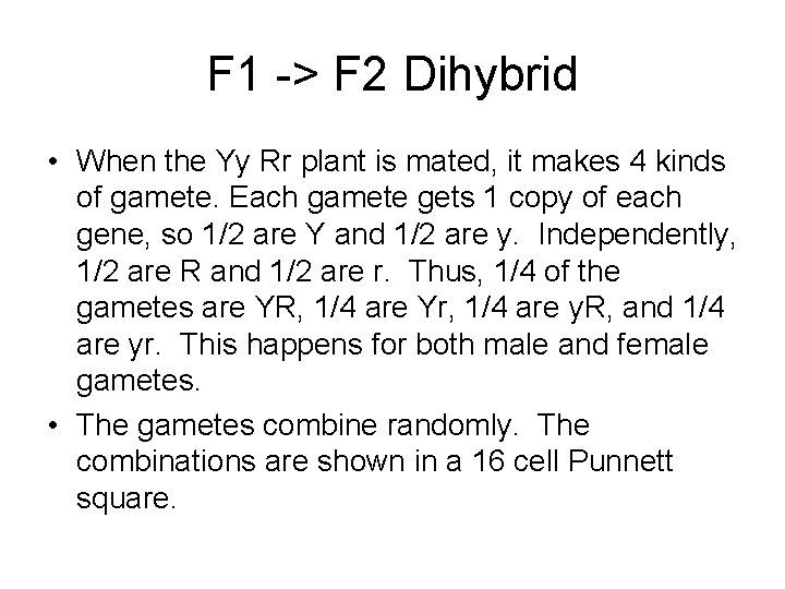 F 1 -> F 2 Dihybrid • When the Yy Rr plant is mated,