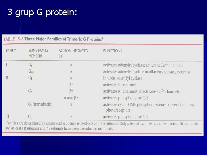 3 grup G protein: 