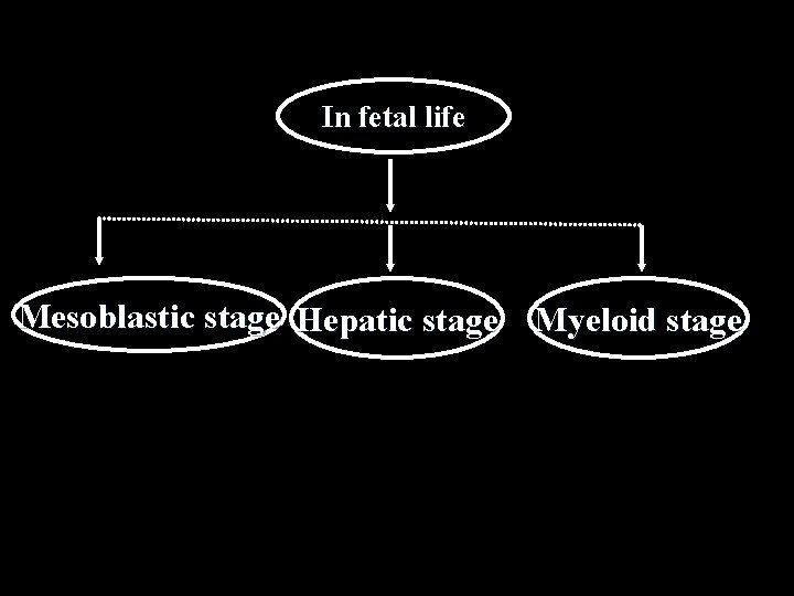 In fetal life Mesoblastic stage Hepatic stage Myeloid stage 