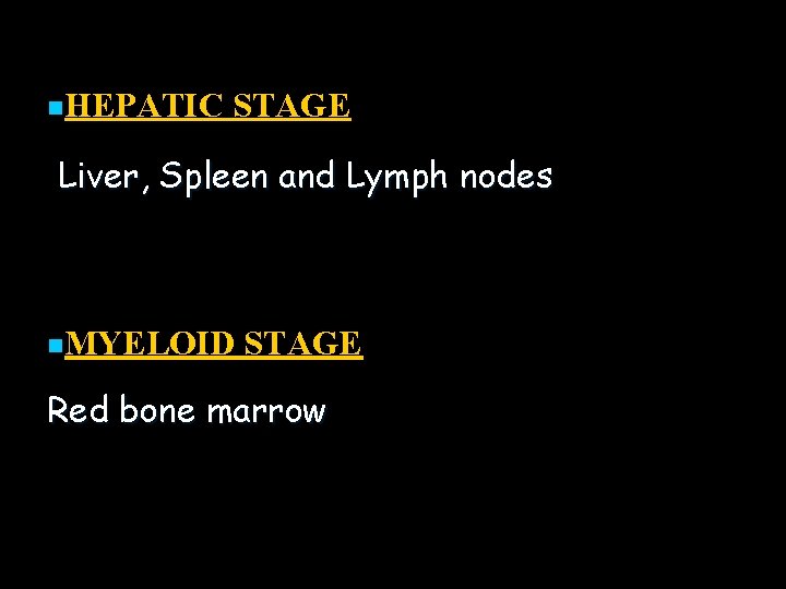 n. HEPATIC STAGE Liver, Spleen and Lymph nodes n. MYELOID STAGE Red bone marrow