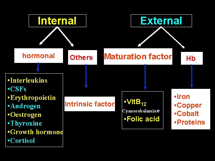 Internal hormonal Others External Maturation factor • Interleukins • CSFs • Erythropoietin Intrinsic factor
