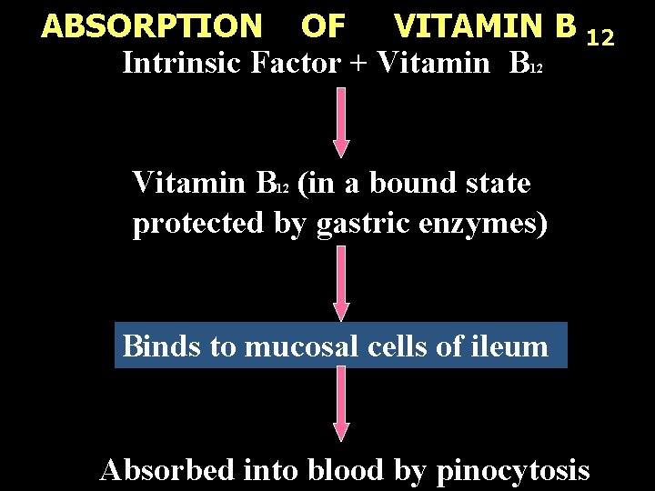 ABSORPTION OF VITAMIN B Intrinsic Factor + Vitamin B 12 12 Vitamin B (in