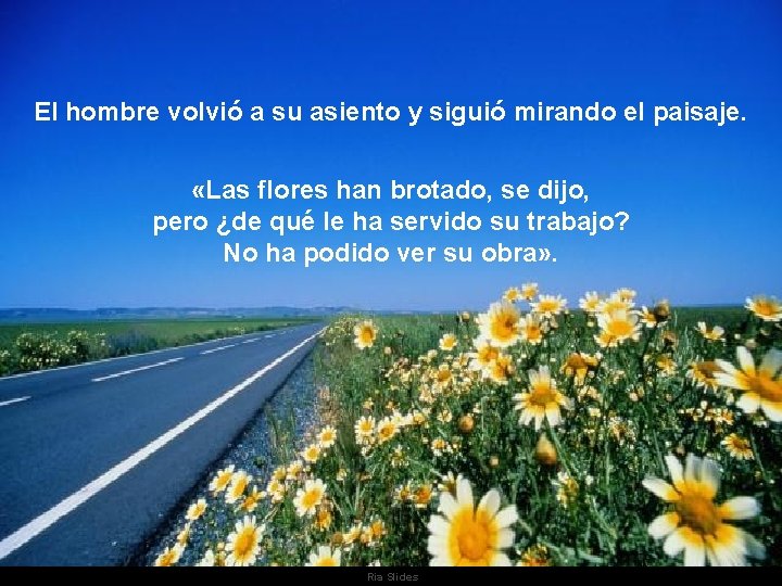 El hombre volvió a su asiento y siguió mirando el paisaje. «Las flores han