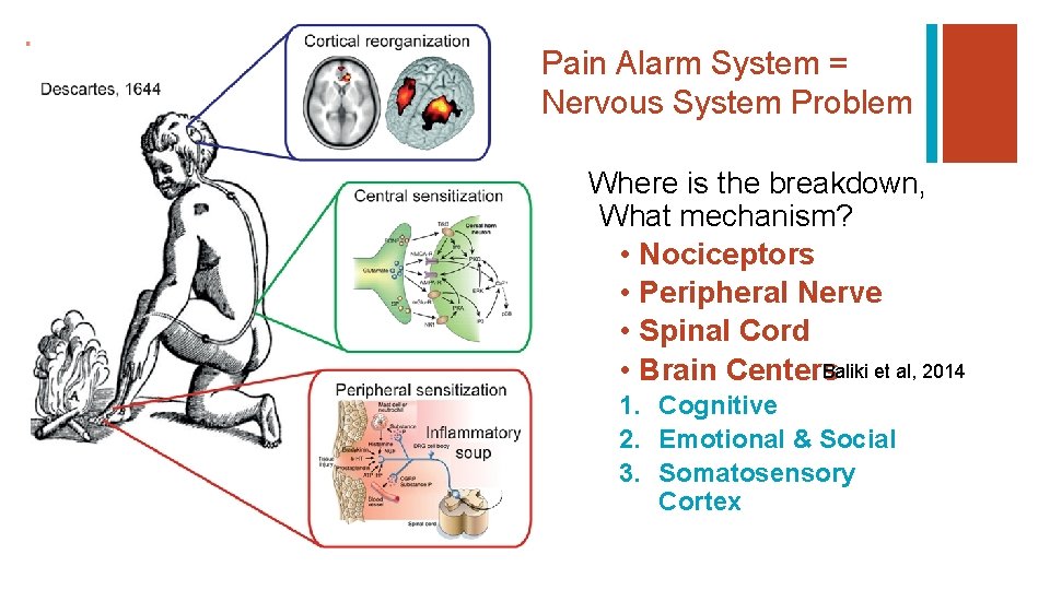 + Pain Alarm System = Nervous System Problem Where is the breakdown, What mechanism?