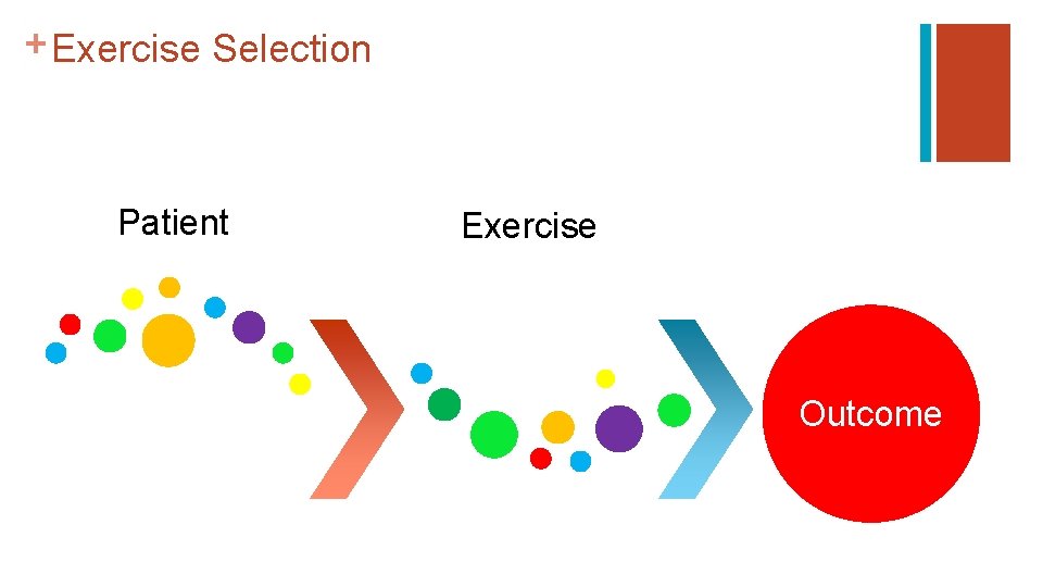 + Exercise Selection Patient Exercise Outcome 